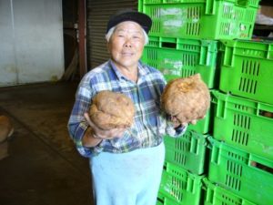 Read more about the article Ho, Lum, Kwok & Goo – Men from Jang Hing Fruitshop